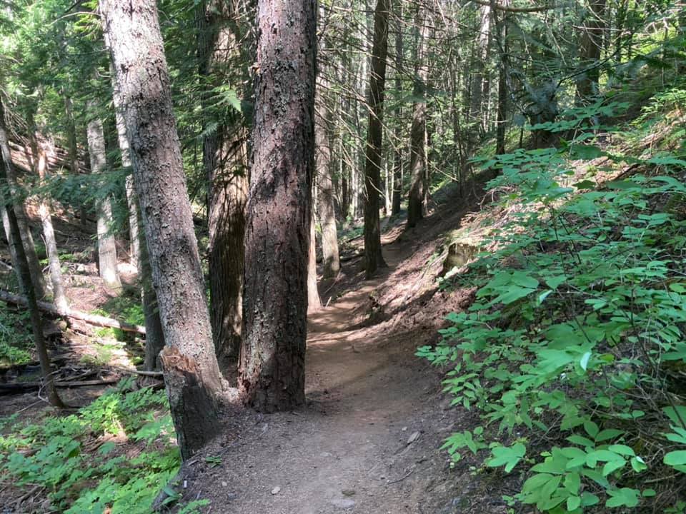 Liberty Lake Regional Park Liberty Lake Loop Trail — Washington